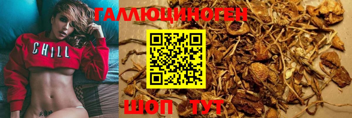Псилоцибиновые грибы мухоморы  Вход с VPN  где можно купить наркотик  Ефремов 